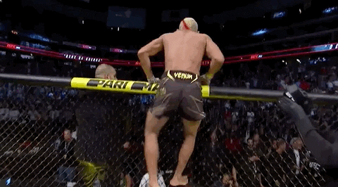 Sport Mma GIF by UFC