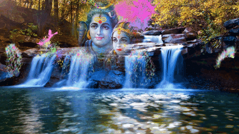 pramodmittal giphyupload happy holi GIF