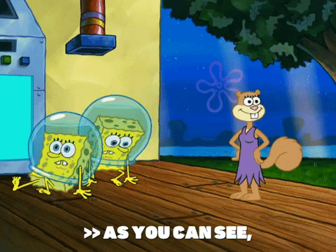 season 6 gullible pants GIF by SpongeBob SquarePants