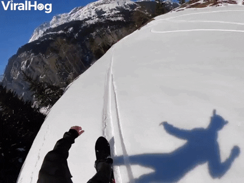From Powder To Parachute GIF by ViralHog