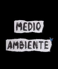 bannabafest  GIF