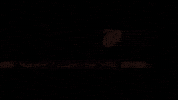 Pizza Asporto GIF by lapergola marsala