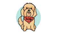 Bailey Sticker