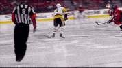 hockey ice GIF by Capitals