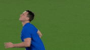 Catch Searching GIF by Rugby World Cup