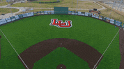 Lamar Athletics GIF by Lamar University