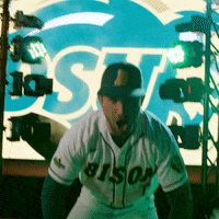 North Dakota State Baseball GIF by NDSU Athletics