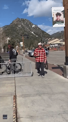 'Dude, No Way!': Loose Moose Wanders Around Colorado Town