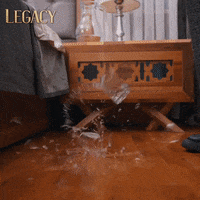 Legacy Emanet GIF by Eccho Rights