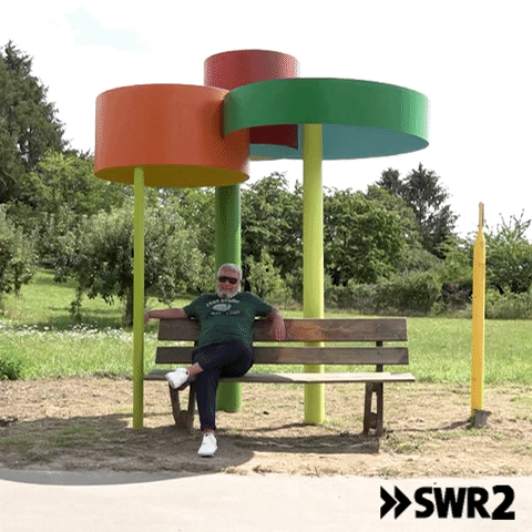 Art Waiting GIF by SWR2