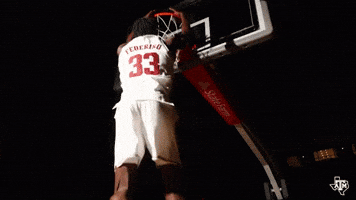 Texas Am Dunk GIF by Texas A&M Athletics