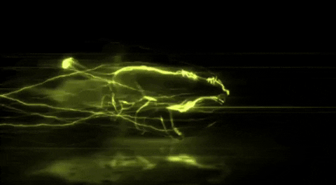 Ballmeisterei tcf GIF