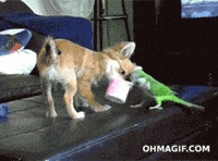 Fight Grabbing GIF