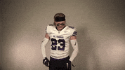 St Thomas Go Time GIF by Tommie Athletics