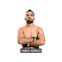 Mixed Martial Arts Mma Sticker by BRAVE Combat Federation