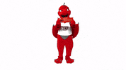 Red Dragons Dragon GIF by SUNY Oneonta