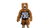 Mascot Pembroke Sticker by UNCP Braves Athletics