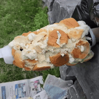 Bread Paper GIF by Alex Boya