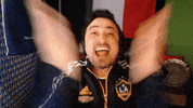 Happy Lets Go GIF by Major League Soccer