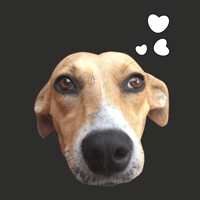GIF by KITEYLOOPY