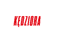 Pzpn Sticker by Laczynaspilka