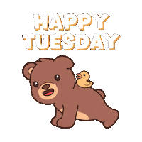 Push Up Teddy Bear Sticker by BEARISH