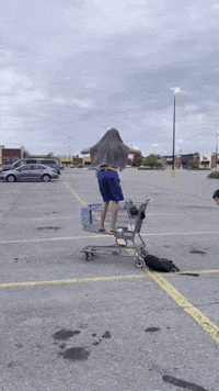Milanosports12 GIF
