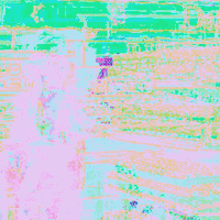 art glitch GIF by Paula Morales