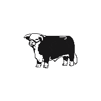 Texas Cow Sticker by lazy J