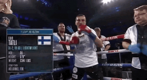 toprank giphyupload fight boxing fighting GIF