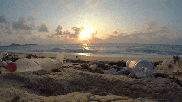 Garbage Pollution GIF by Oceana