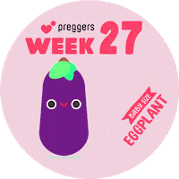 Baby Pregnancy Sticker by Preggers