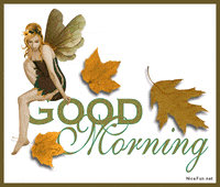 good morning GIF