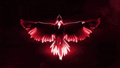 St Johns Ebeb GIF by St. John's Red Storm