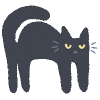 Black Cat No Sticker