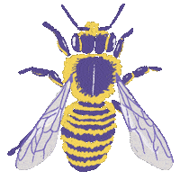 Bee Honeybee Sticker