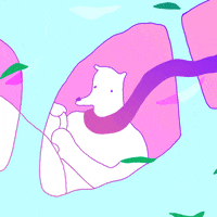driving on my way GIF by Shane Beam