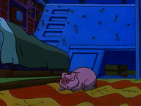 heyarnold nicksplat hey arnold GIF