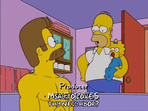 homer simpson episode 20 GIF