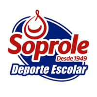 Deporte Escolar Sticker by LincolnCollegeChile