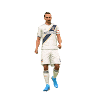 Celebrate La Galaxy Sticker by EA SPORTS FC