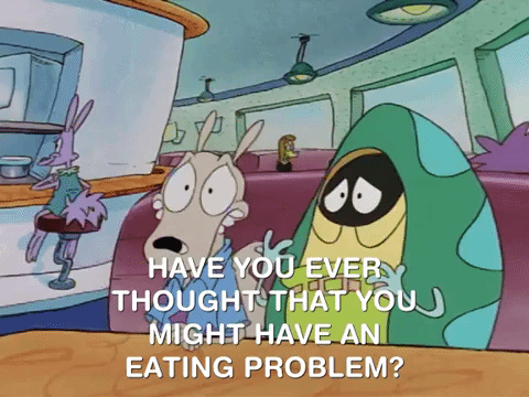 rockos modern life nicksplat GIF