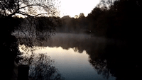 Morning Mist On The Lake