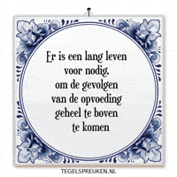 Wijsheid Troost GIF by Tegelspreuken.nl