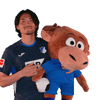 Sport Bundesliga Sticker by TSG Hoffenheim