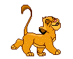 GIF animado