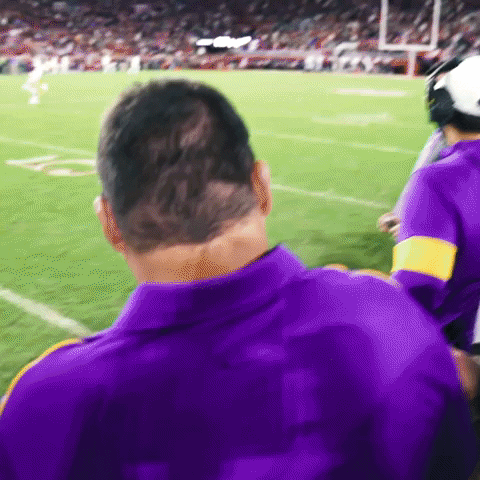 College Football GIF by LSU Tigers