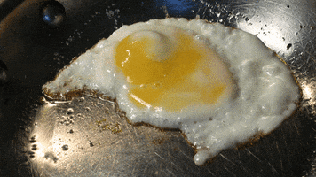 fried egg cooking GIF