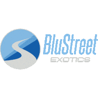 Exotic Car Sticker by BluStreet