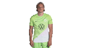 Happy Football Sticker by VfL Wolfsburg